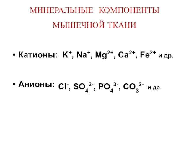 МИНЕРАЛЬНЫЕ КОМПОНЕНТЫ МЫШЕЧНОЙ ТКАНИ Катионы: K+, Na+, Mg2+, Ca2+, Fe2+