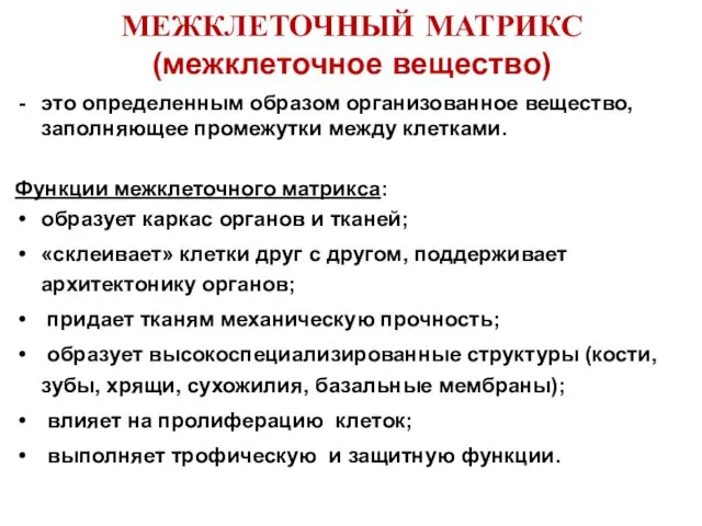 МЕЖКЛЕТОЧНЫЙ МАТРИКС (межклеточное вещество) это определенным образом организованное вещество, заполняющее