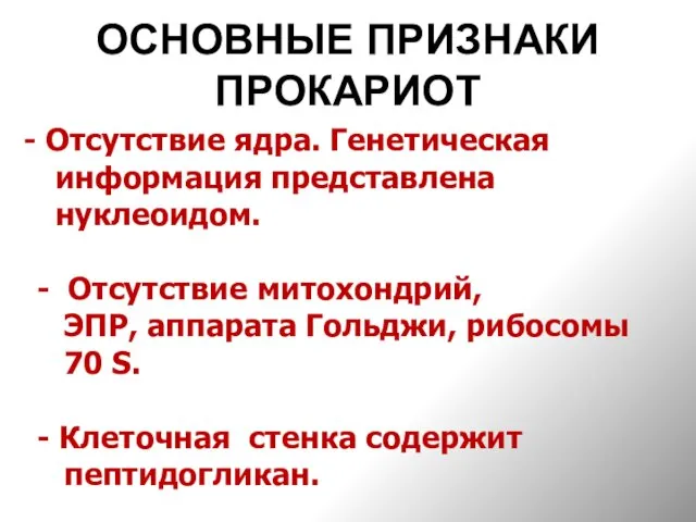 ОСНОВНЫЕ ПРИЗНАКИ ПРОКАРИОТ Отсутствие ядра. Генетическая информация представлена нуклеоидом. -