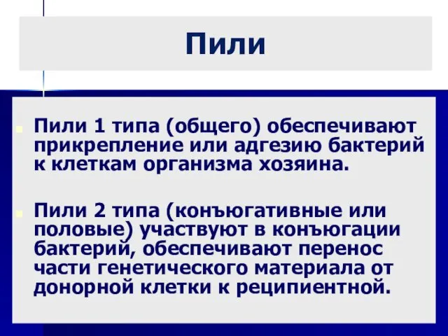 Пили Пили 1 типа (общего) обеспечивают прикрепление или адгезию бактерий