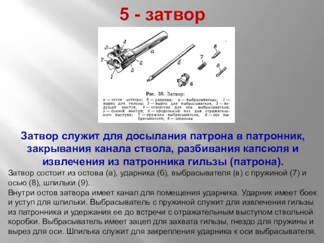 5 - затвор Затвор служит для досылания патрона в патронник,