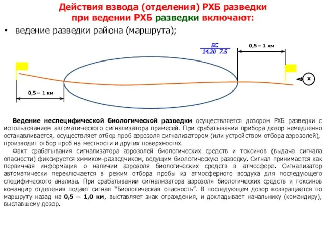 Действия взвода (отделения) РХБ разведки при ведении РХБ разведки включают: