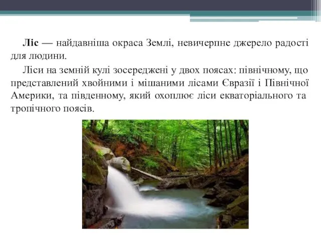 Ліс — найдавніша окраса Землі, невичерпне джерело радості для людини.