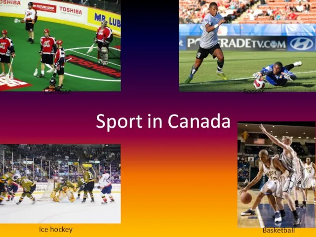 Lacrosse Soccer Ice hockey Basketball Sport in Canada