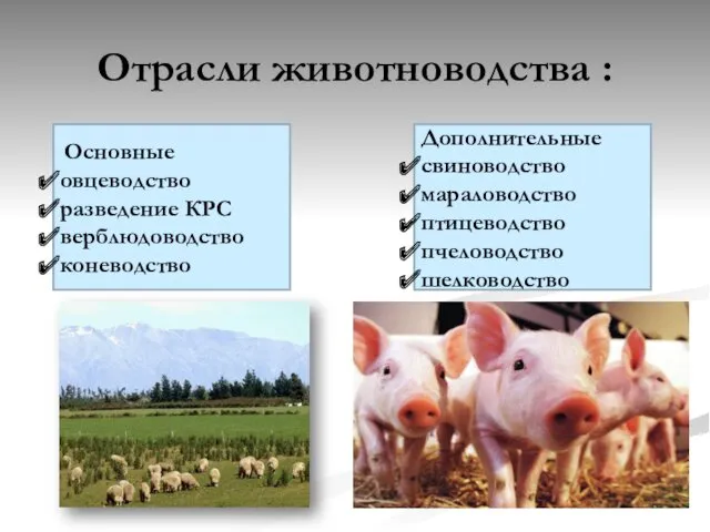 Отрасли животноводства : Основные овцеводство разведение КРС верблюдоводство коневодство Дополнительные свиноводство мараловодство птицеводство пчеловодство шелководство