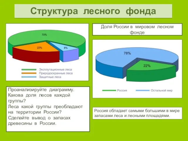 Структура лесного фонда Проанализируйте диаграмму. Какова доля лесов каждой группы?