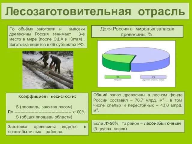 Доля России в мировых запасах древесины, %. Общий запас древесины