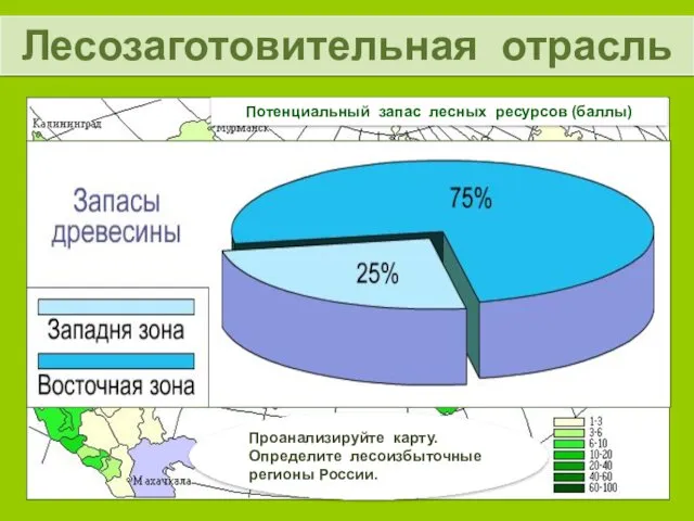 Потенциальный запас лесных ресурсов (баллы) Проанализируйте карту. Определите лесоизбыточные регионы России. Лесозаготовительная отрасль