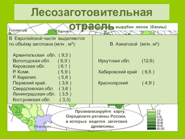 Интенсивность вырубки лесов (баллы) Проанализируйте карту. Определите регионы России, в