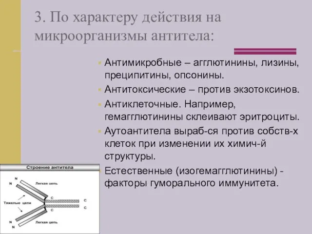 3. По характеру действия на микроорганизмы антитела: Антимикробные – агглютинины,