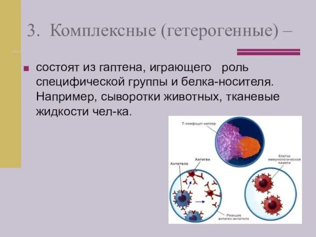 3. Комплексные (гетерогенные) – состоят из гаптена, играющего роль специфической