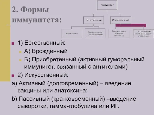 2. Формы иммунитета: 1) Естественный: А) Врождённый Б) Приобретённый (активный