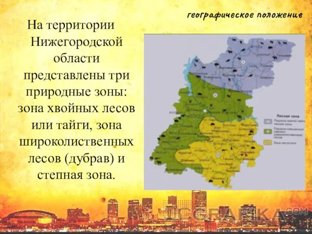 На территории Нижегородской области представлены три природные зоны: зона хвойных