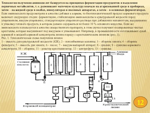 Технология получения аминокислот базируется на принципах ферментации продуцентов и выделения