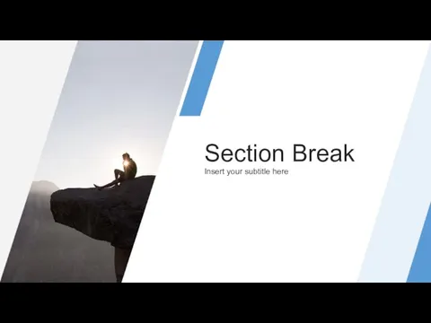 Section Break Insert your subtitle here