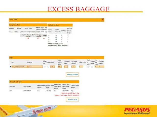 EXCESS BAGGAGE