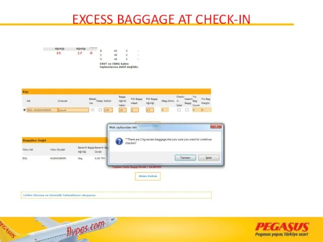 EXCESS BAGGAGE AT CHECK-IN