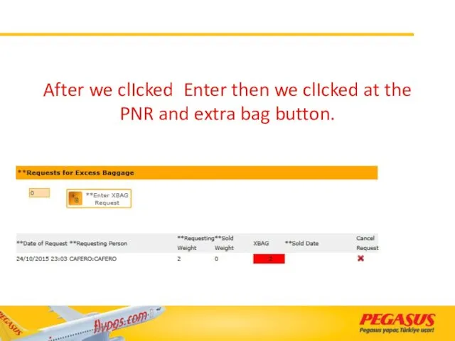 After we clIcked Enter then we clIcked at the PNR and extra bag button.