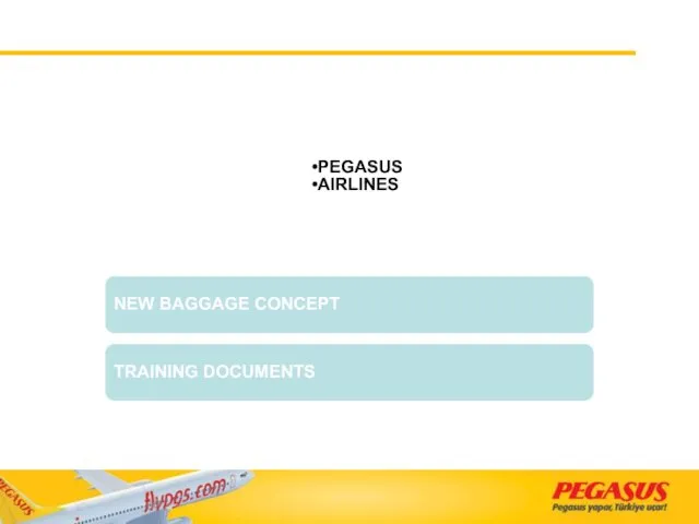 PEGASUS AIRLINES NEW BAGGAGE CONCEPT TRAINING DOCUMENTS
