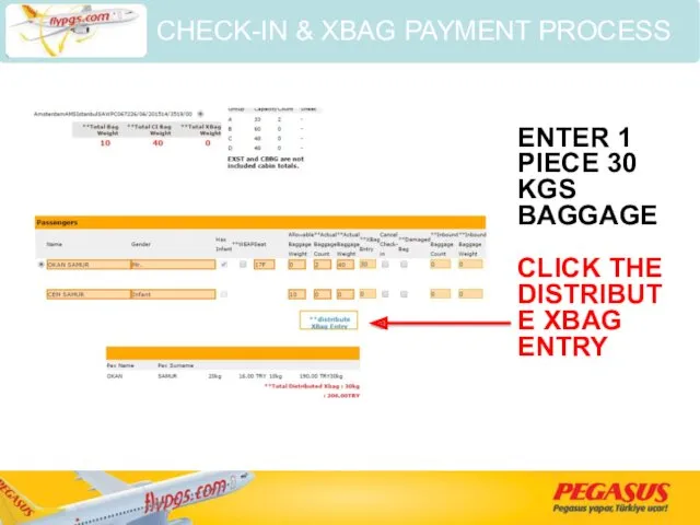 ENTER 1 PIECE 30 KGS BAGGAGE CLICK THE DISTRIBUTE XBAG ENTRY CHECK-IN & XBAG PAYMENT PROCESS