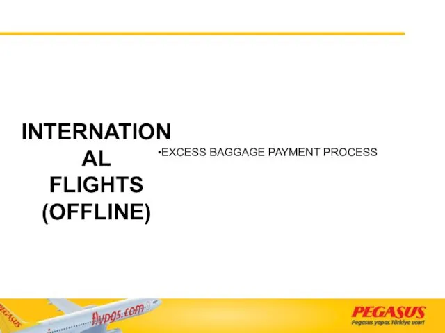 INTERNATIONAL FLIGHTS (OFFLINE) EXCESS BAGGAGE PAYMENT PROCESS