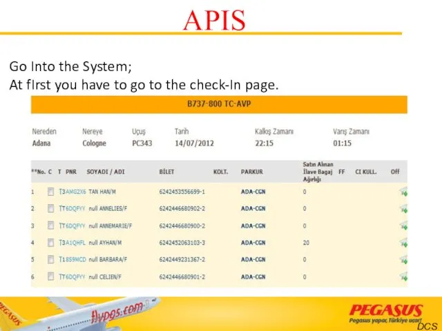 DCS Go Into the System; At fIrst you have to go to the check-In page. APIS