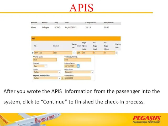 After you wrote the APIS InformatIon from the passenger Into