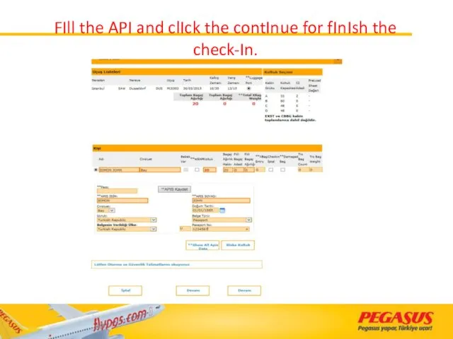 FIll the API and clIck the contInue for fInIsh the check-In.