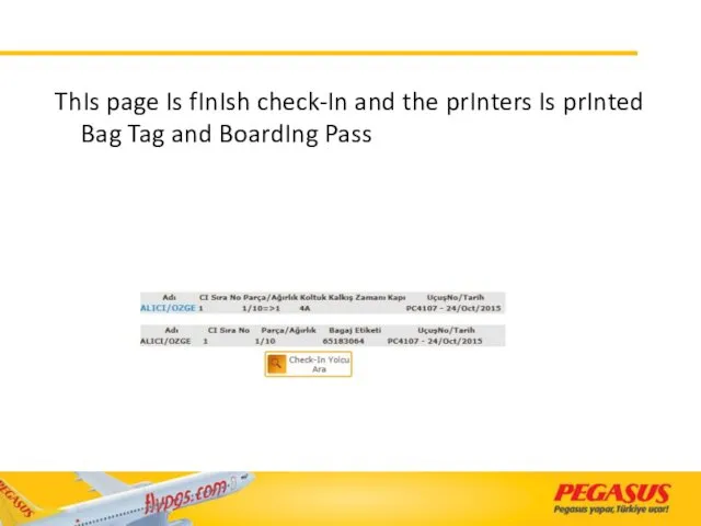 ThIs page Is fInIsh check-In and the prInters Is prInted Bag Tag and BoardIng Pass