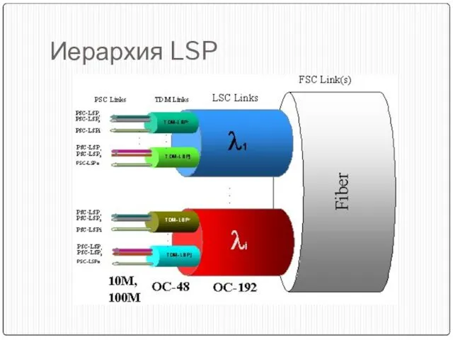 Иерархия LSP