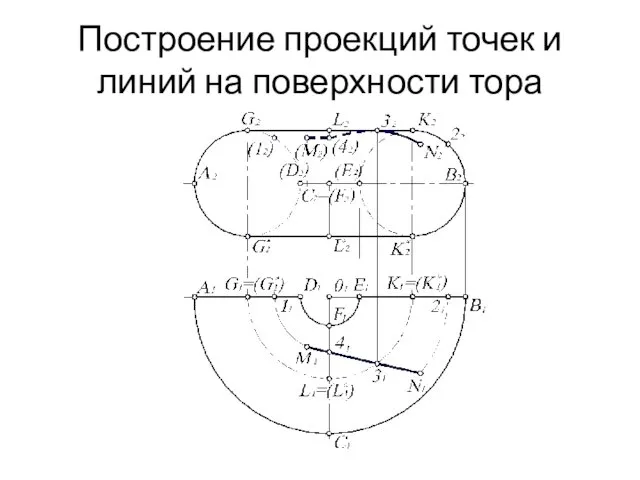 Построение проекций точек и линий на поверхности тора