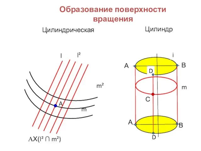 Образование поверхности вращения Цилиндрическая l m A l² m² ΑX(l²