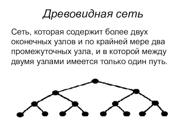Древовидная сеть Сеть, которая содержит более двух оконечных узлов и