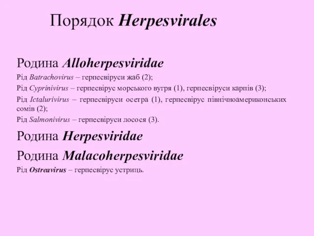Порядок Herpesvirales Родина Alloherpesviridae Рід Batrachovirus – герпесвіруси жаб (2);