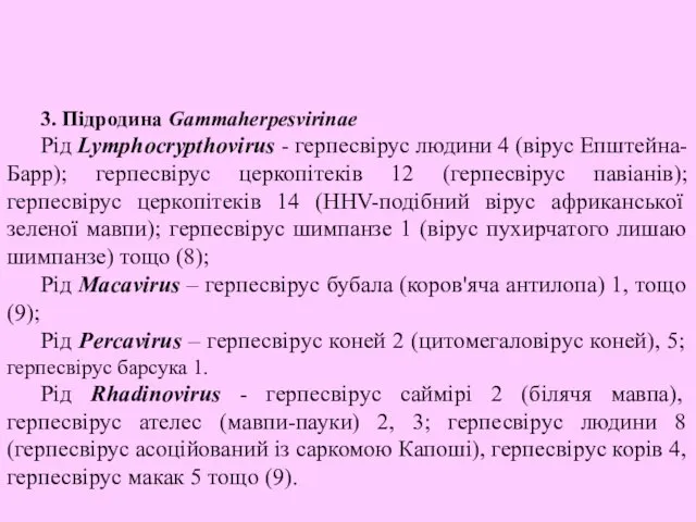 3. Підродина Gammaherpesvirinae Рід Lymphocrypthovirus - герпесвірус людини 4 (вірус