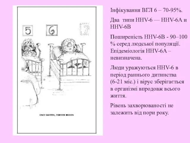 Інфікування ВГЛ 6 – 70-95%. Два типи HHV-6 — HHV-6А