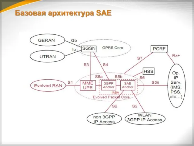 Базовая архитектура SAE