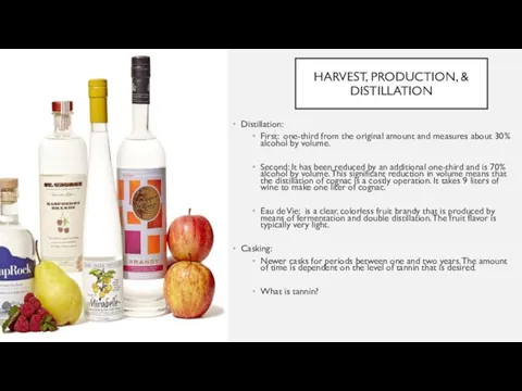 HARVEST, PRODUCTION, & DISTILLATION Distillation: First: one-third from the original