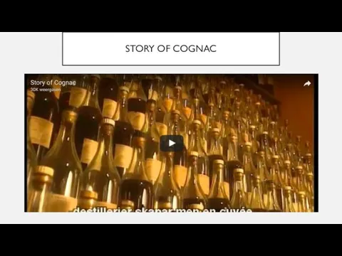 STORY OF COGNAC