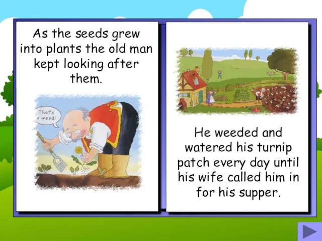 As the seeds grew into plants the old man kept looking after them.