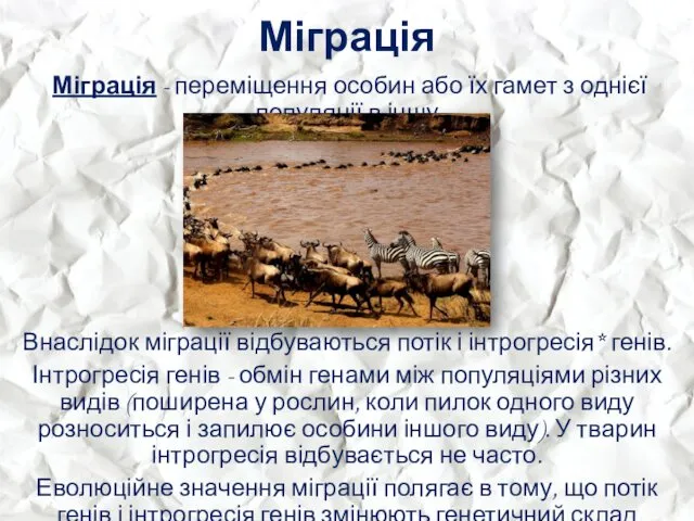 Міграція Міграція - переміщення особин або їх гамет з однієї