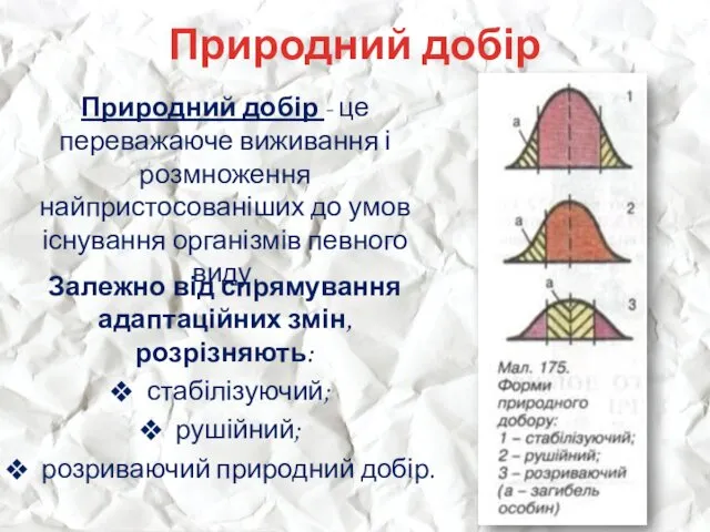 Природний добір Природний добір - це переважаюче виживання і розмноження