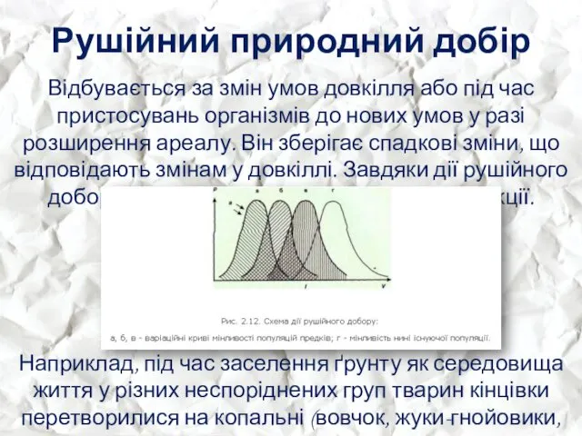 Рушійний природний добір Відбувається за змін умов довкілля або під