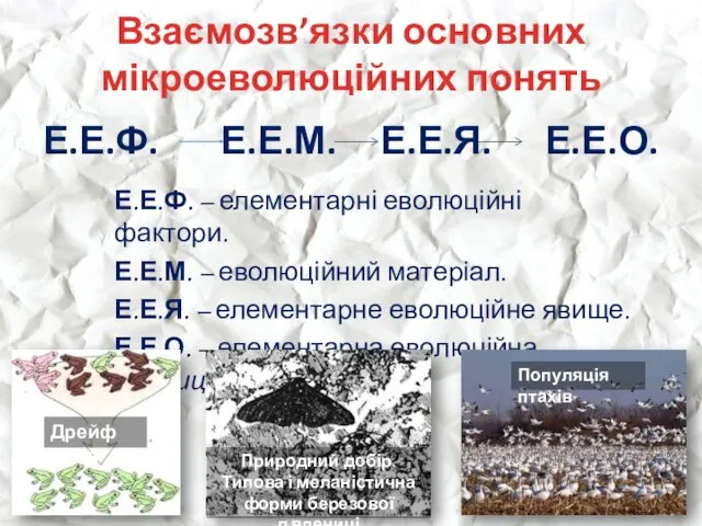 Взаємозв’язки основних мікроеволюційних понять Е.Е.Ф. Е.Е.М. Е.Е.Я. Е.Е.О. Е.Е.Ф. –