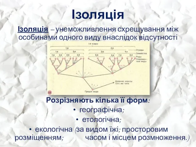 Ізоляція Ізоляція – унеможливлення схрещування між особинами одного виду внаслідок