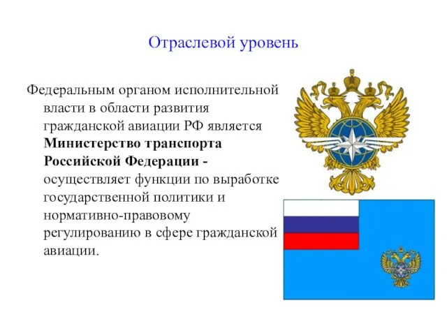 Отраслевой уровень Федеральным органом исполнительной власти в области развития гражданской