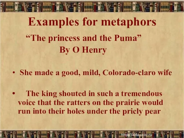 Examples for metaphors “The princess and the Puma” By O Henry She made