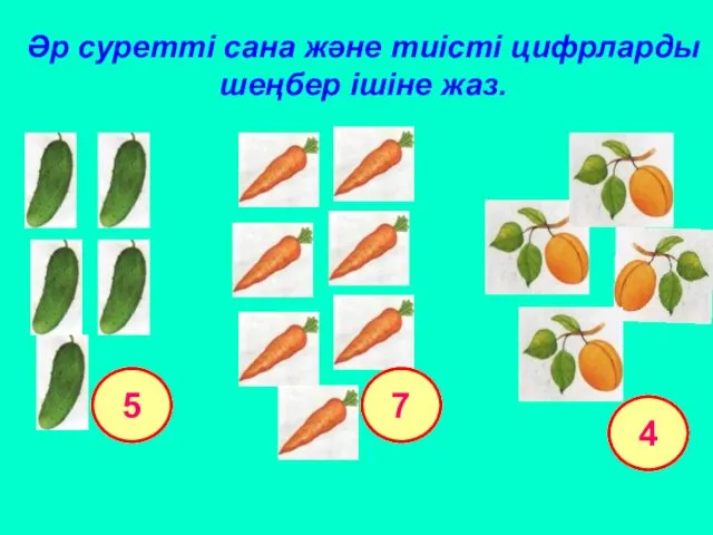 Әр суретті сана және тиісті цифрларды шеңбер ішіне жаз. 5 7 4