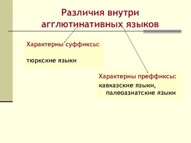 Различия внутри агглютинативных языков Характерны суффиксы: тюркские языки Характерны преффиксы: кавказские языки, палеоазиатские языки