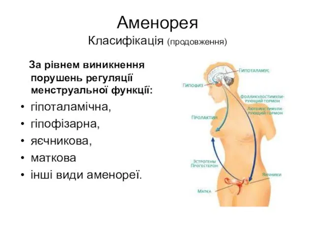 Аменорея Класифікація (продовження) За рівнем виникнення порушень регуляції менструальної функції: